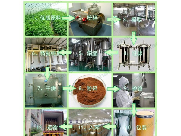氯霉素原料藥