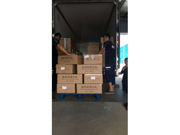 魚(yú)膠原蛋白肽 寧夏廠家