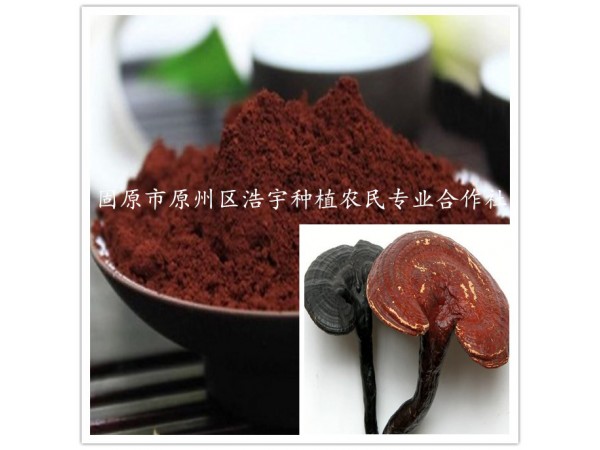 樹舌靈芝多肽