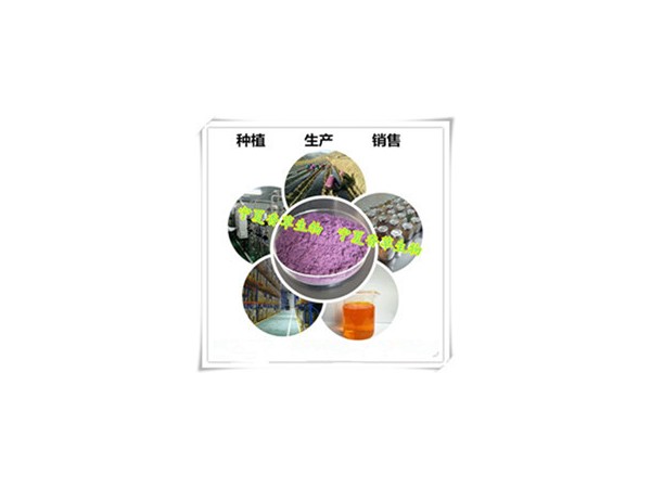 沙棘樹(shù)靈芝提取物