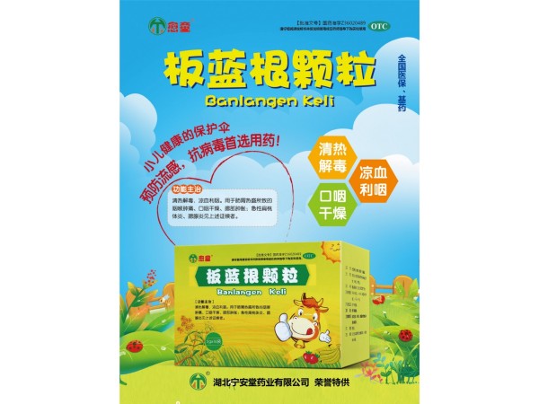 板藍根顆粒