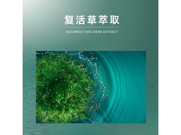 美葆林復活草日夜補水面霜