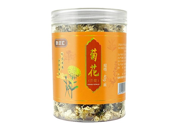 菊花（貢菊）