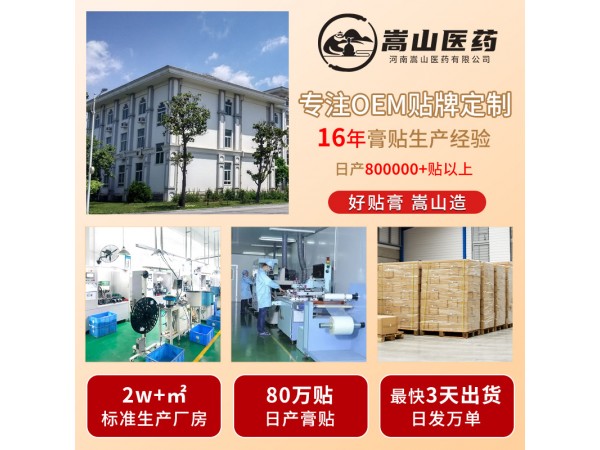 嵩山醫(yī)追風疼痛保健貼肌肉關節(jié)疼痛穴位腰椎貼頸椎貼腰腿痛非膏藥