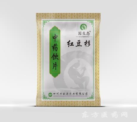 紅豆杉