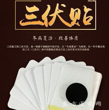 三伏貼膏藥貼牌代加工 東進(jìn)藥業(yè)三九貼oem 空貼穴位貼敷治療貼招三九貼代理